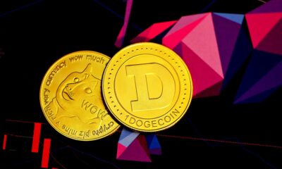 Dogecoin from unsplash 61.jpg