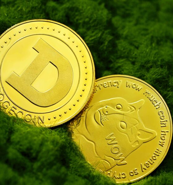 Dogecoin from unsplash 8.jpg