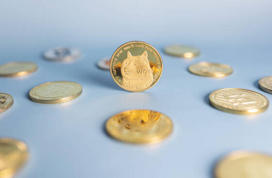 Dogecoin from istock 14.jpg