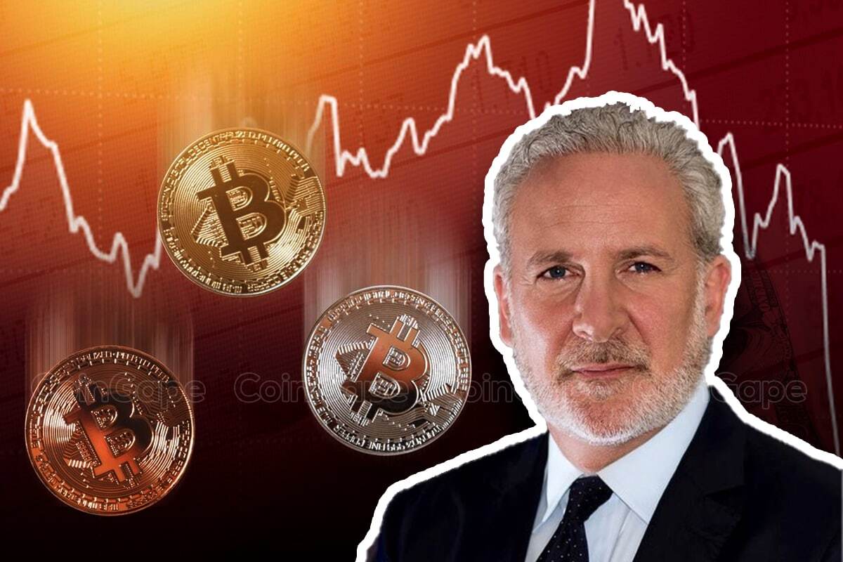 Peter schiff shocks crypto community after bitcoin nft drop announcement.jpg