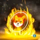 Shiba inu price eyes 100 upside with shib burn rate rising.webp.webp