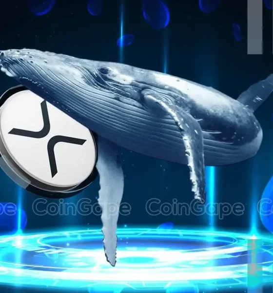 Xrp news ripple whales buy 40m coins sparking speculations over rally to 3.5.webp.webp