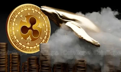 Xrp news ripple whales buy 520m xrp amid recent dip whats next.webp.webp