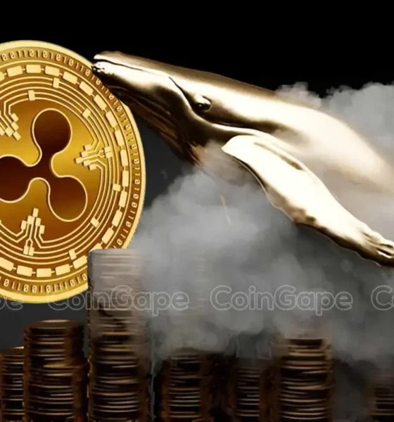 Xrp news ripple whales buy 520m xrp amid recent dip whats next.webp.webp