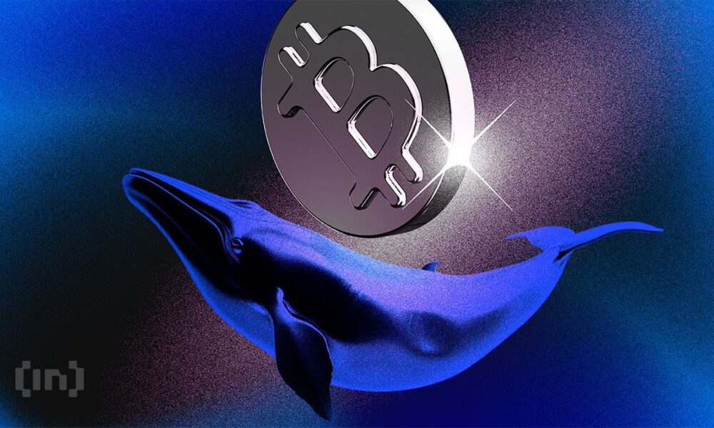 Bic crypto whales 2 covers neutral.jpg.optimal.jpg