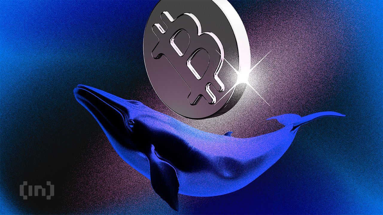 Bic crypto whales 2 covers neutral.jpg.optimal.jpg